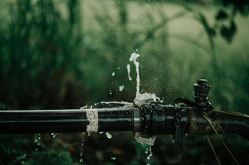 7 Things To Do If You Find a Leak at Home